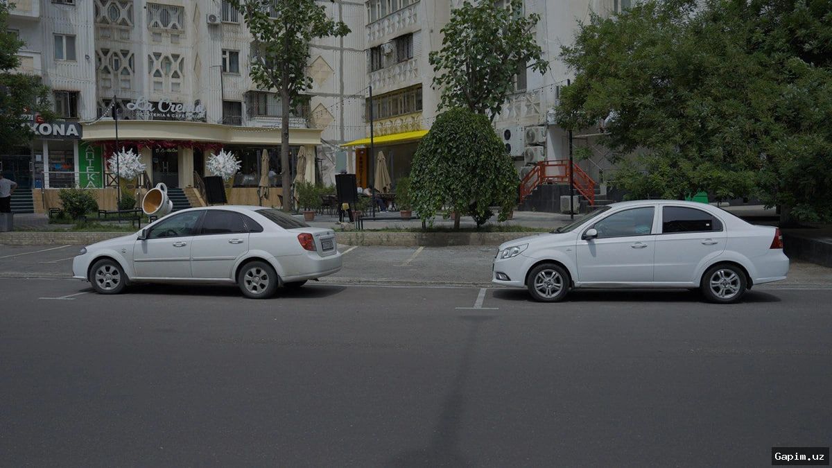 🅿️🏗️ Шесть парковок в аэропорту Ташкента сдаются в аренду на 3 года