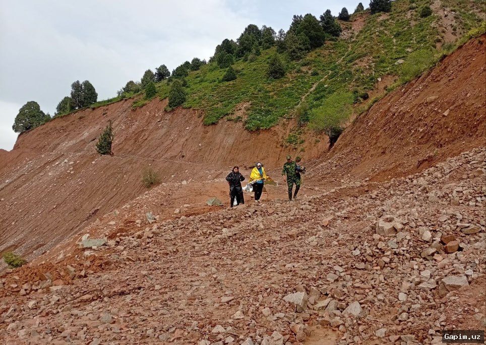 🏔️🚑 Rescuers Evacuate Injured Tourist from Greater Chimgan Mountain