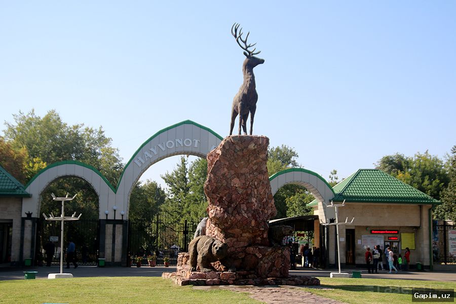 🐴⚠️ В Ташкентском зоопарке ребенок пострадал при попытке покормить пони