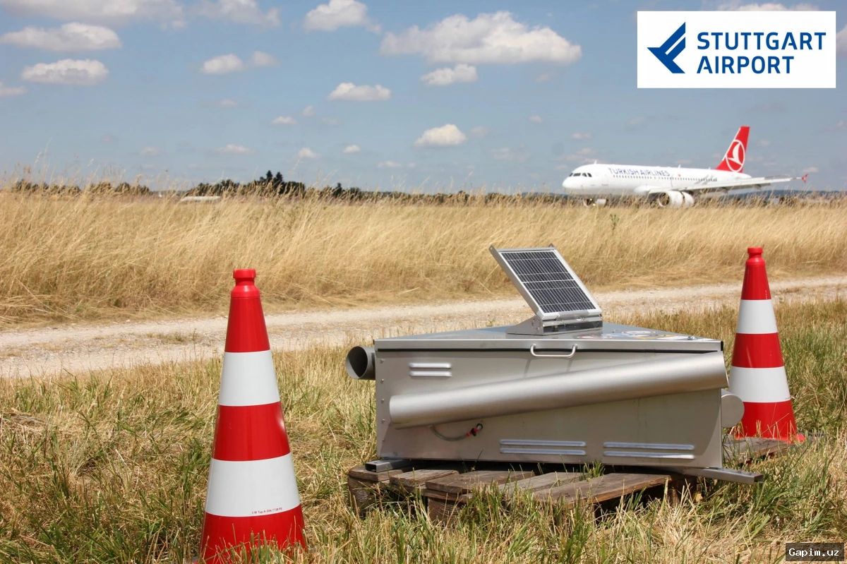 🛩️🐦 Tashkent Airport launches AI-based bird control system