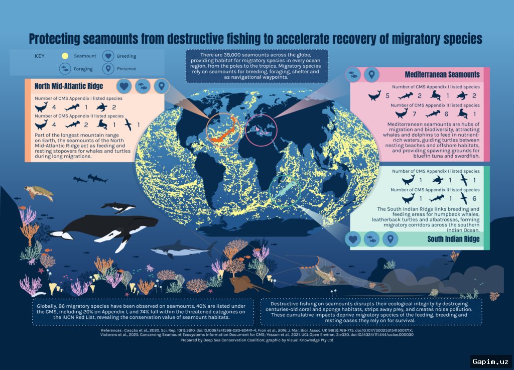 🌍🏆 O‘zbekiston Yovvoyi Tabiatni Himoya Qilishda Jahon Yetakchisi Sifatida Tan Olindi