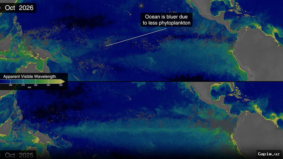 🌊🌡️ Satellite data suggests 2026 El Nino mirrors historic climate anomalies