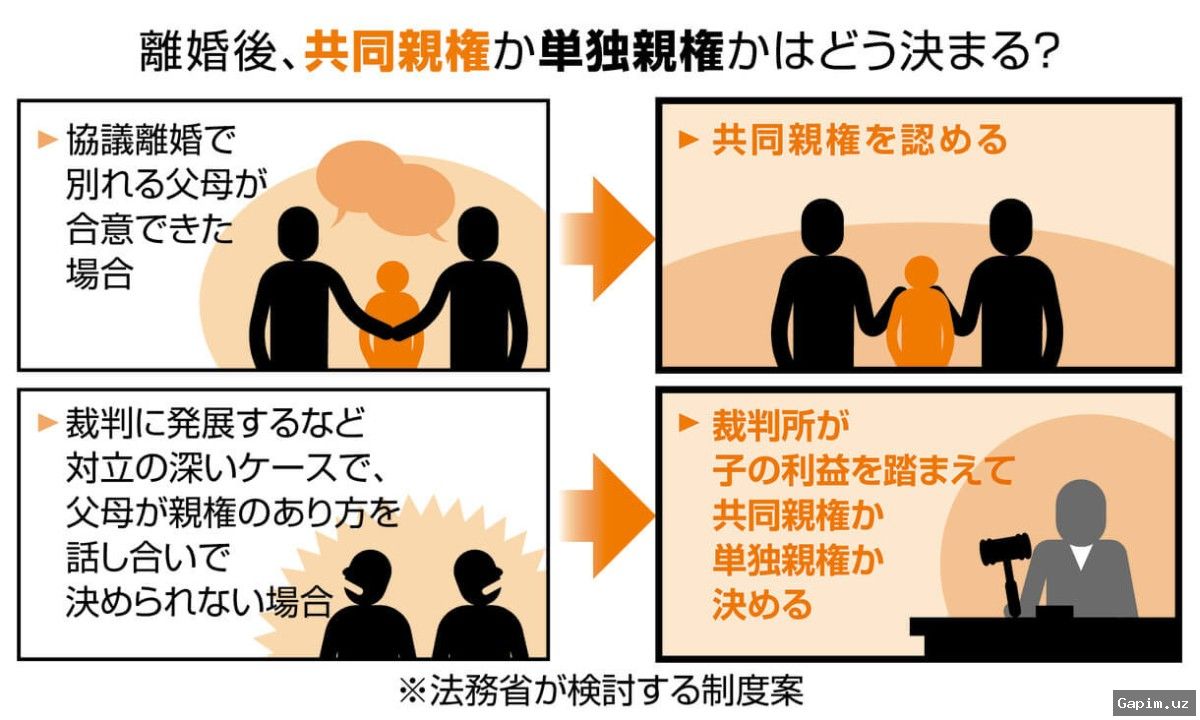 🇯🇵👨‍👩‍👧‍👧 Япония ввела совместную опеку: разводы стали проще, но интересы детей под вопросом