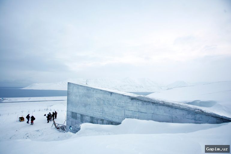 ❄️⚔️ Norvegiya Mudofaa vaziri: Rossiyaning Ayiq bo‘g‘ozini nazorat qilishiga yo‘l qo‘yib bo‘lmaydi