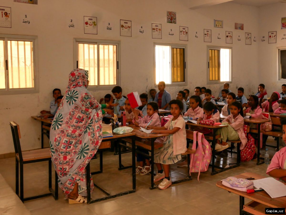 🎓📚 Mauritania phases out private schools in push for education equality