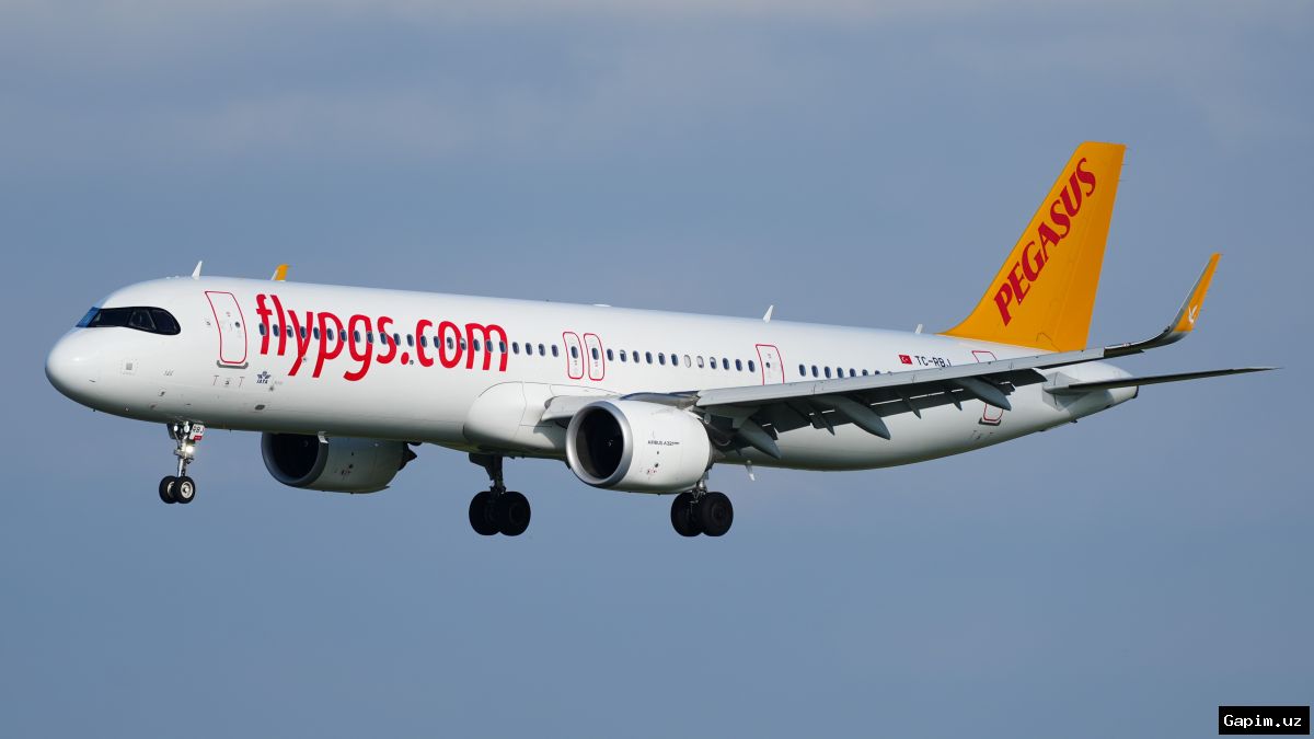✈️🇹🇷 Турецкий лоукостер Pegasus Airlines якобы собирается запустить рейсы в три города Узбекистана