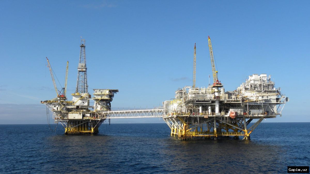 🐋⛽️ Комитет США по исчезающим видам освободил бурение в Мексиканском заливе от экологических ограничений