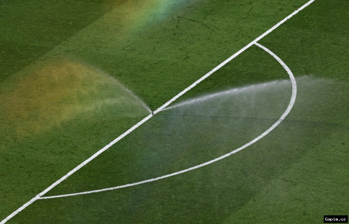 🏟️💰 FIFA выставила на продажу газон с финала чемпионата мира