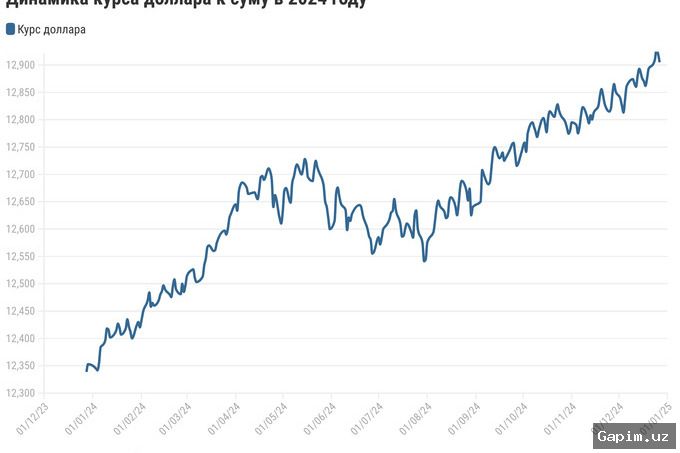 📉💰 В июне сум подешевел к доллару на 0,5%