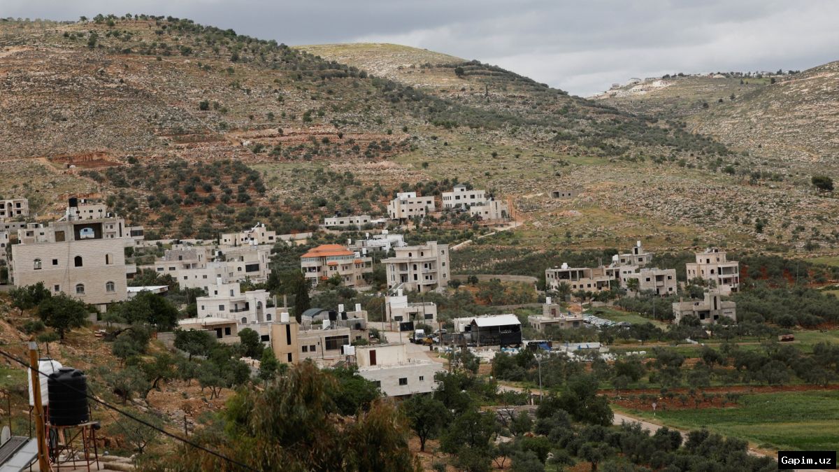 🇮🇱🌳 Isroil moliyachisi: 'Falastin davlati g‘oyasini yo‘q qilmoqdamiz' — G‘arbiy Sohilda 3000 daraxt kesildi