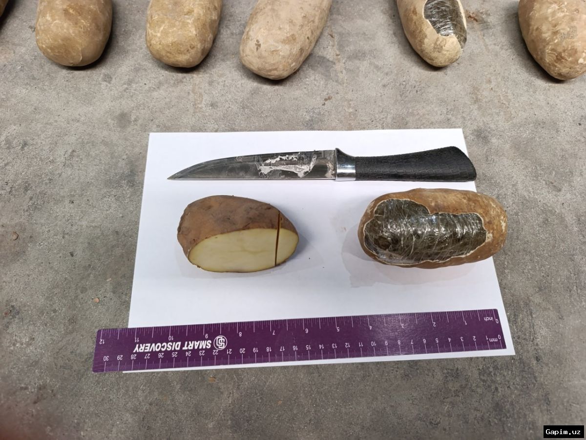 🔒⚖️ Tashkent Region Court Sentences Drug Trafficking Group to 8-10 Years for Attempted Sale of Nearly 1 kg Hashish