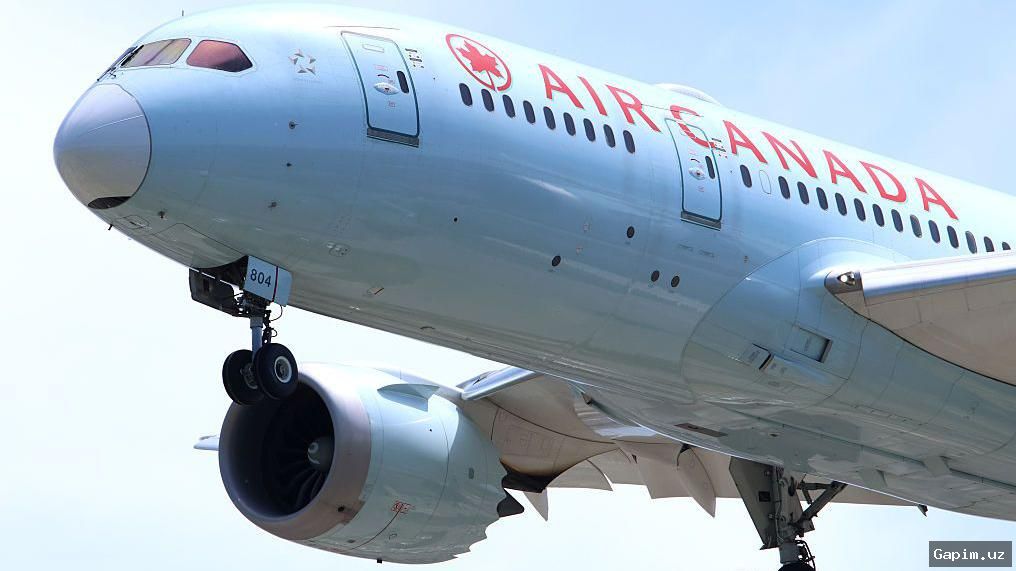 ✈️⚖️ Kanadada sobiq uchuvchi 17 yil davomida litsenziyasiz parvoz qilganlikda ayblanmoqda