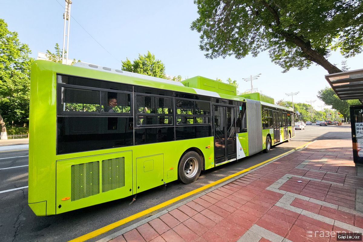 🌿🚌 Экологическая партия предложила запустить в Ташкенте пилотный проект «зеленых остановок»