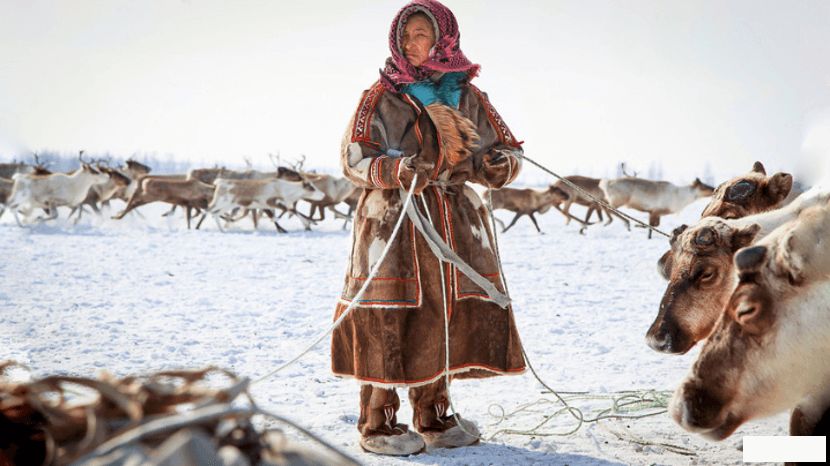 🌍❄️ Sibirdagi iqlim o'zgarishi: Yukagir xalqi va Rossiya hukumati o'rtasidagi kurash