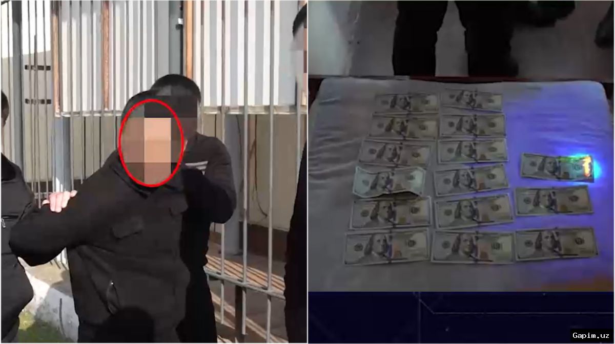 🔍💰 Man Arrested in Jizzakh for Promising Medical Job in Exchange for Bribe