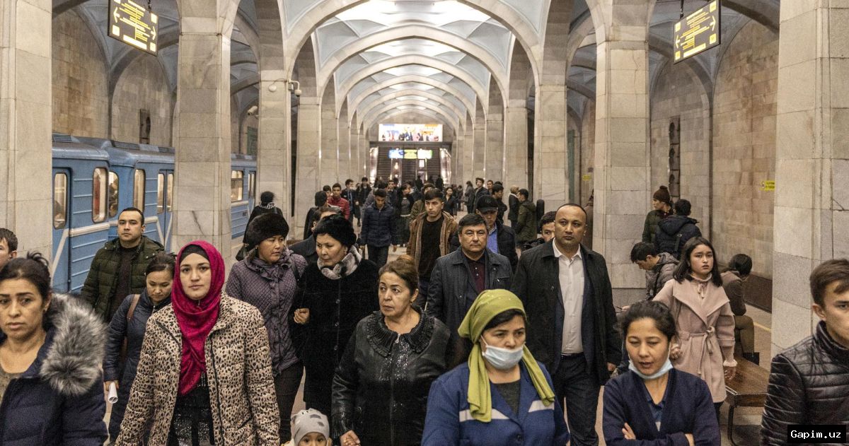 💼📉 O‘zbekistonda davlat xaridlari tizimi: tadbirkorlar to‘lanmagan qarzlar va soxta tenderlardan shikoyat qilmoqda