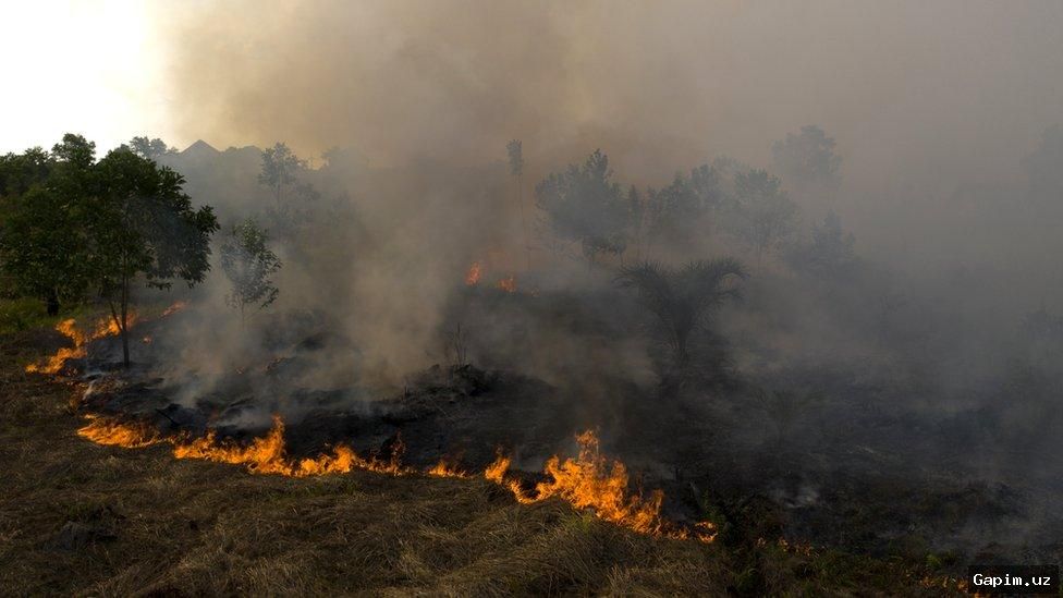 🌏🔥 Haze from Indonesian fires chokes Malaysia, triggers health crisis