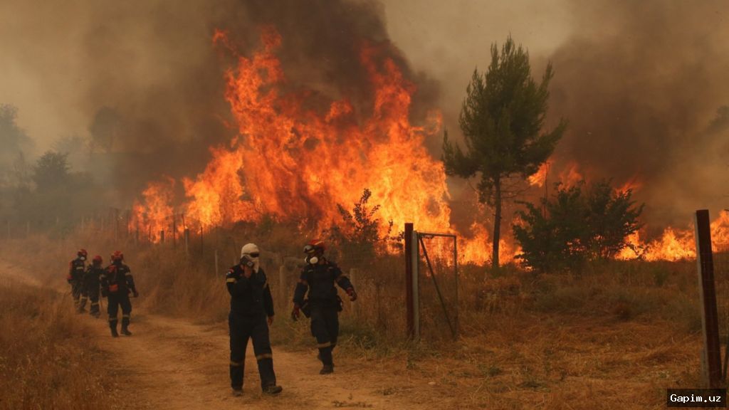 🔥🚁 Helicopters collide mid-air while battling wildfires in Greece