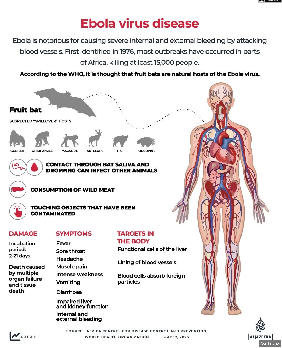 🦠⚠️ Ebola Virus: Low Risk in Uzbekistan, but Precautions Stepped Up
