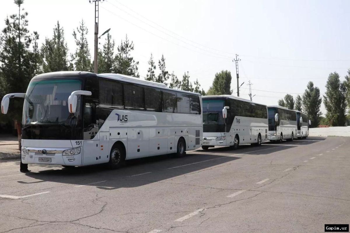 🚌🏖️ Toshkentdan Issiqko‘lga mavsumiy avtobus qatnovlari 8-iyundan boshlanadi