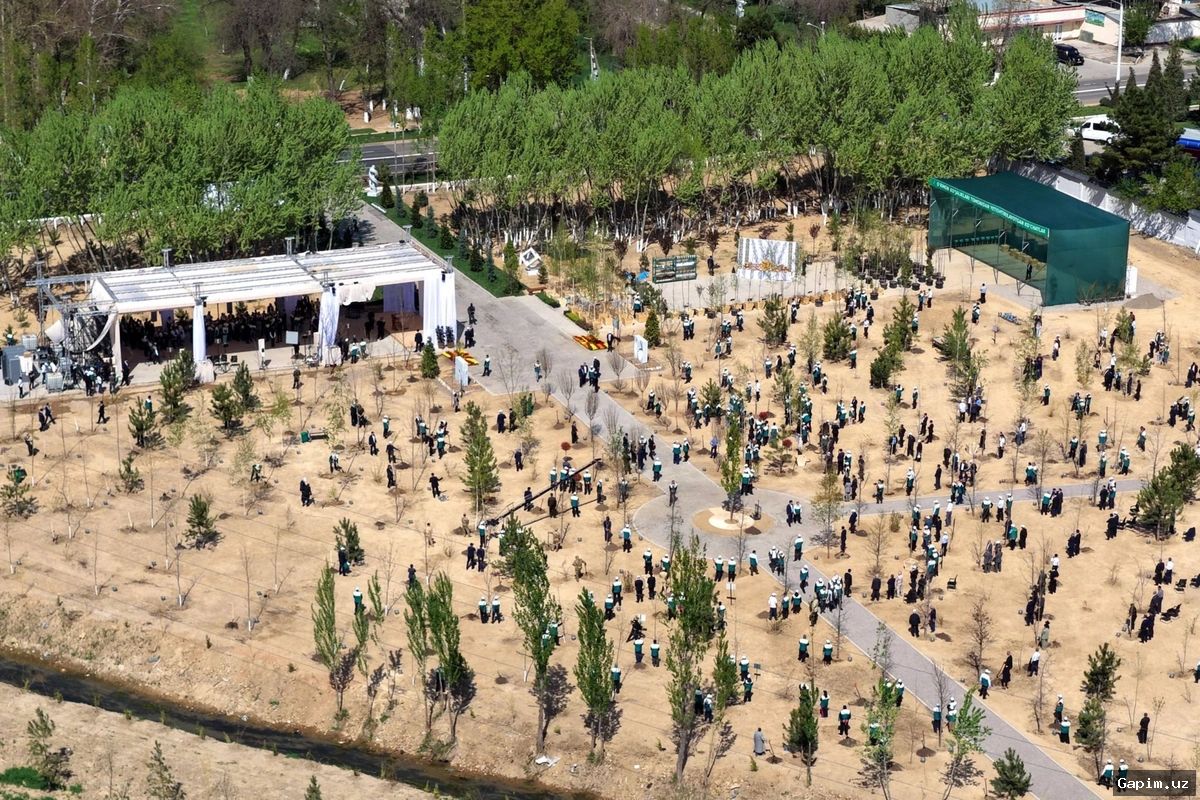 🌳🔥 В Джамбайском районе из-за поджога камыша сгорело 50 деревьев, экологический ущерб составил 202,7 млн сумов