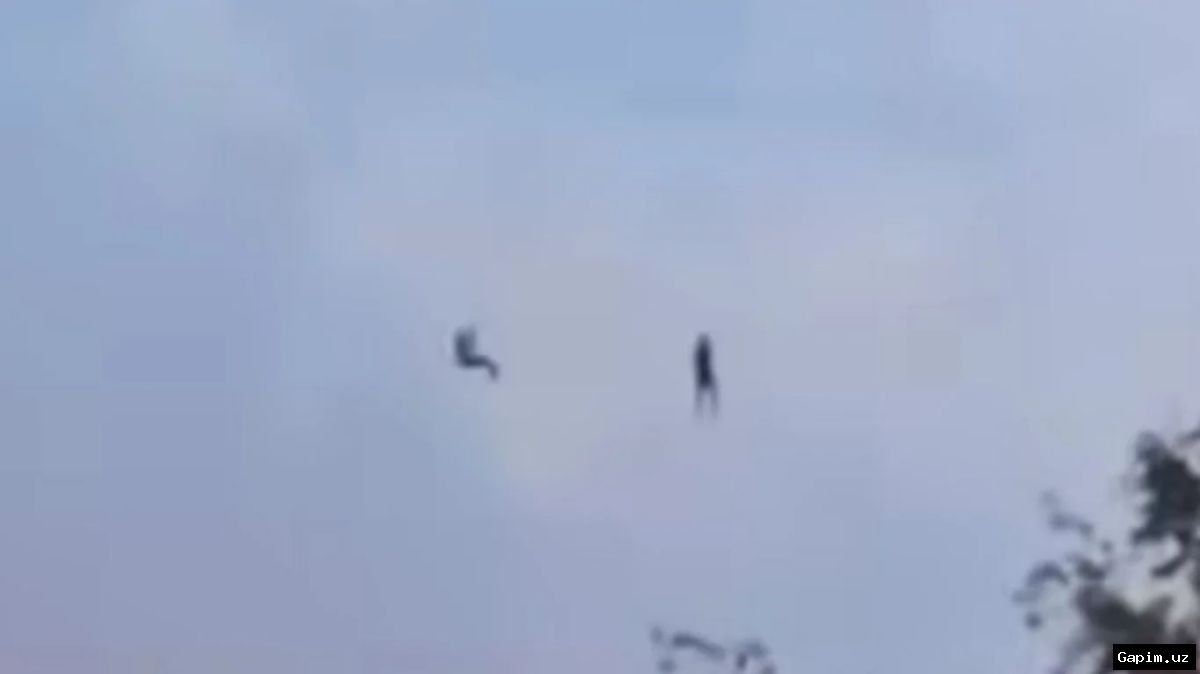🚡⚠️ Angrendagi noqonuniy zipline demontaj qilindi