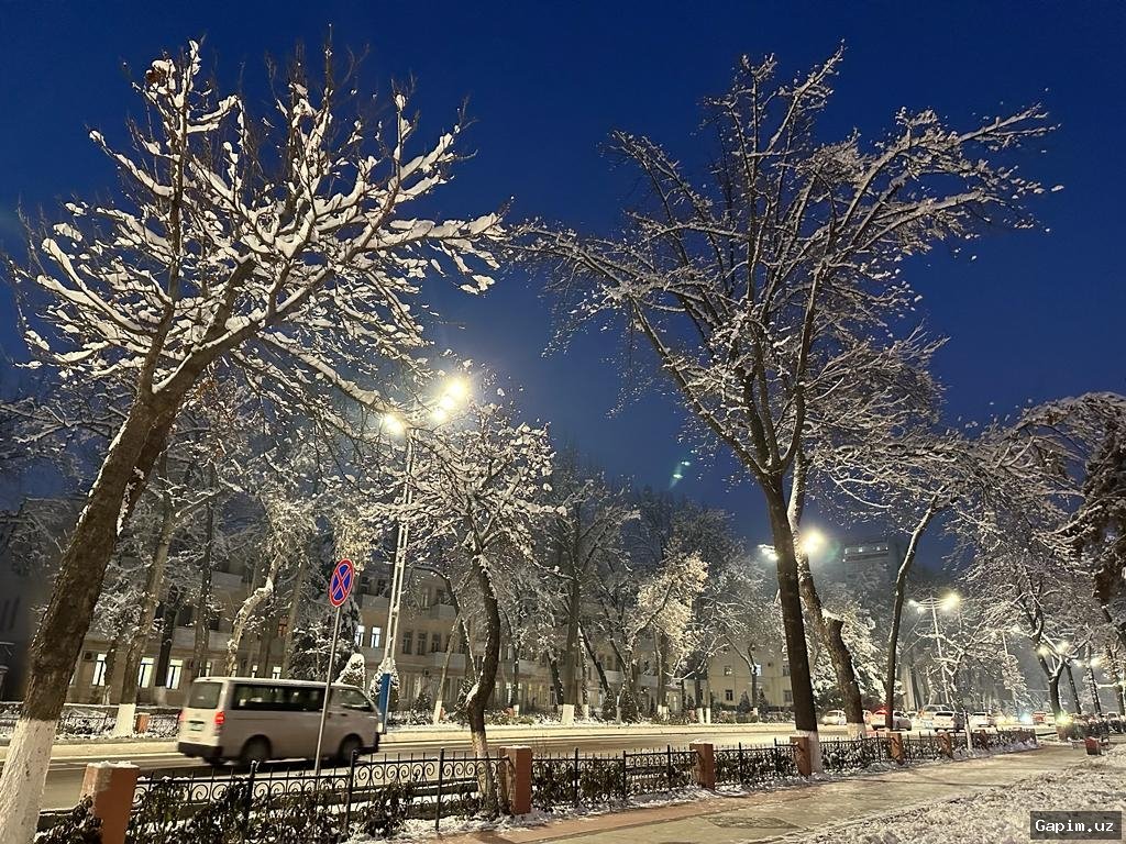 🌧️❄️ O‘zbekistonda havo o‘zgarishi: Avval sovuq va yog‘in, keyin issiqlik