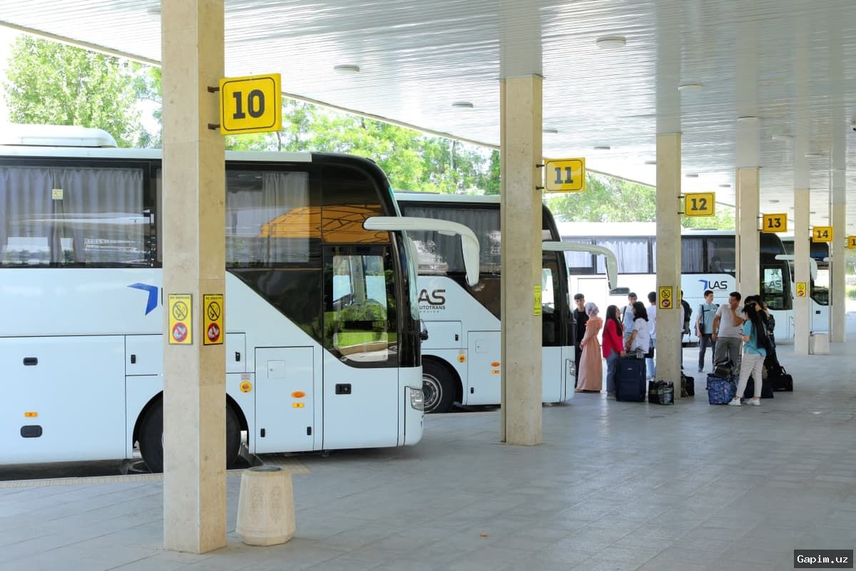 🚌⚠️ В России мошенники наживаются на пассажирах автобусов в Узбекистан