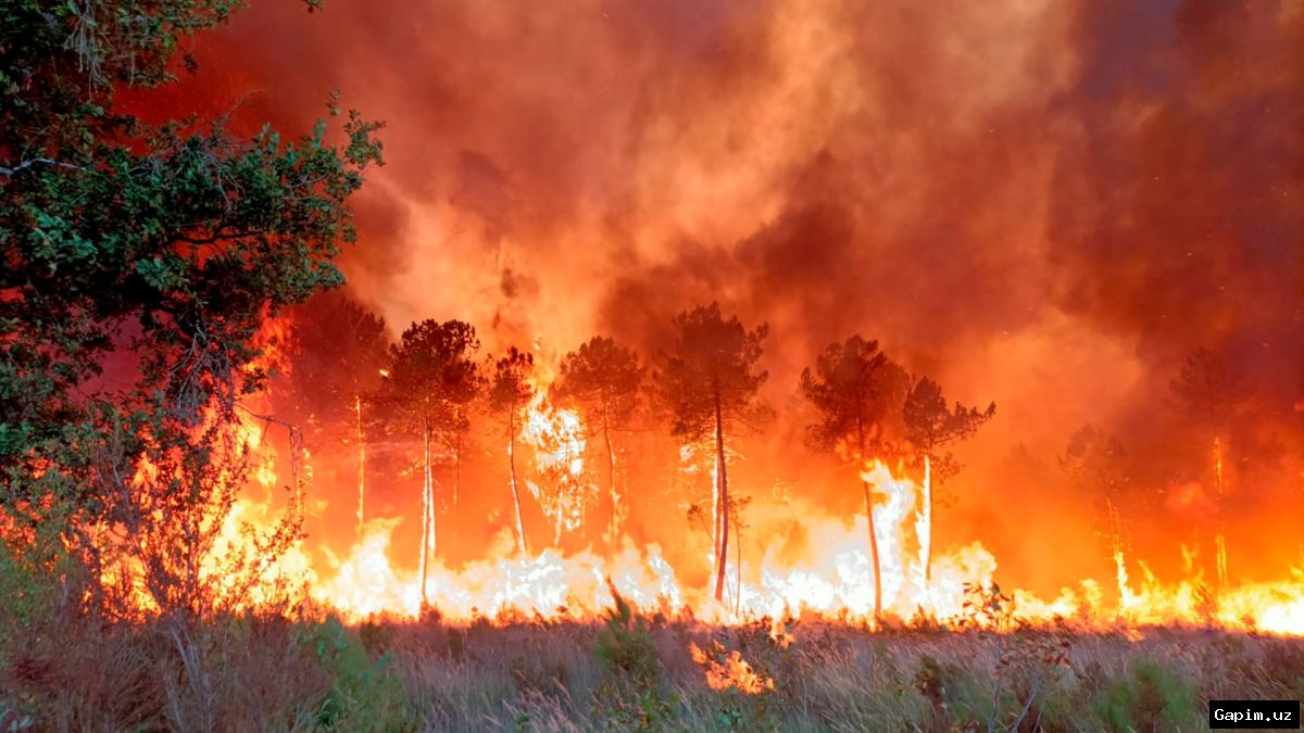 🔥🌲 European wildfires: Two Greek firefighters killed, Spain and France battle heatwave