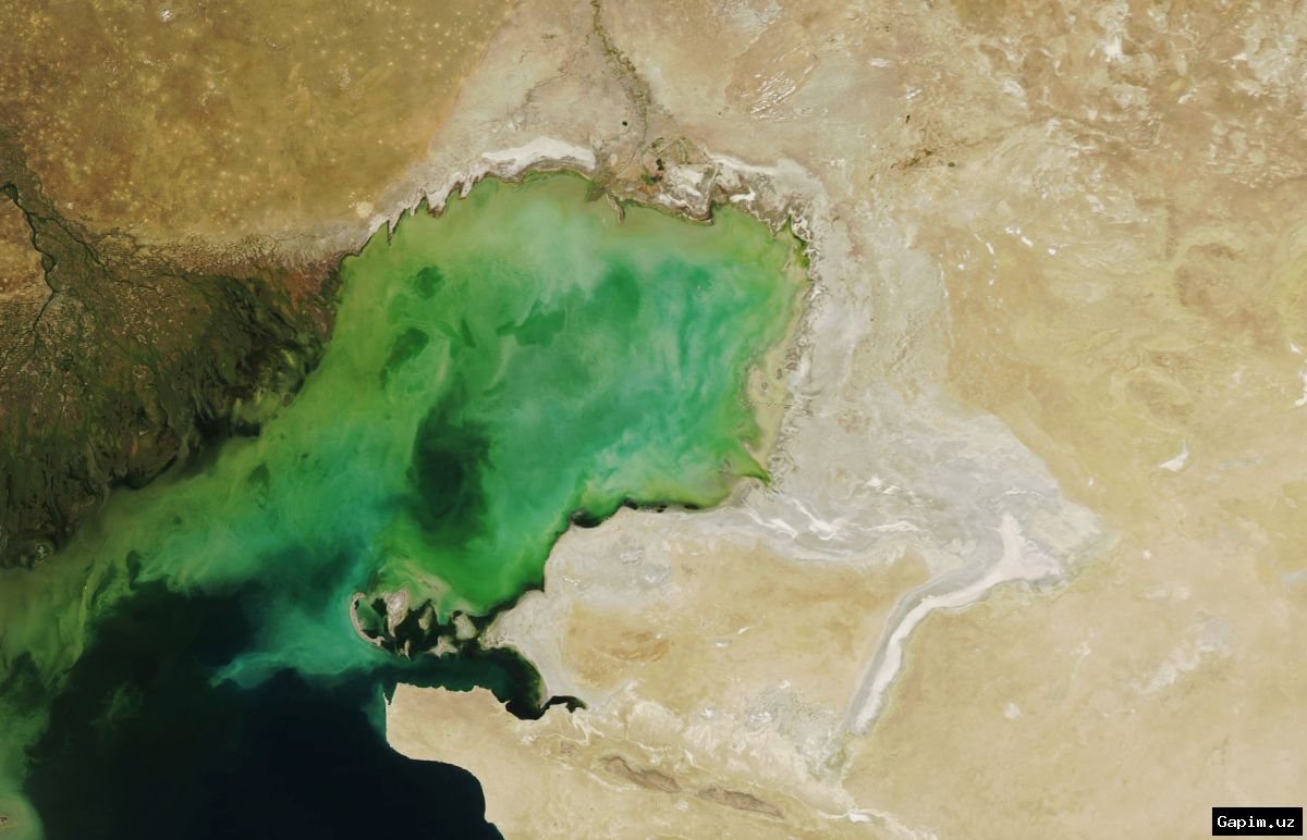 🌊⚠️ Каспийское море исчезает: ученые бьют тревогу