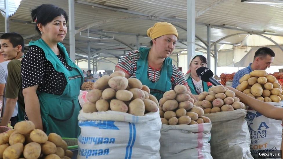 🤝📈 O‘zbekistonda ijtimoiy xizmatlar bozori 2026-yilga borib 1 trillion so‘mga yetadi