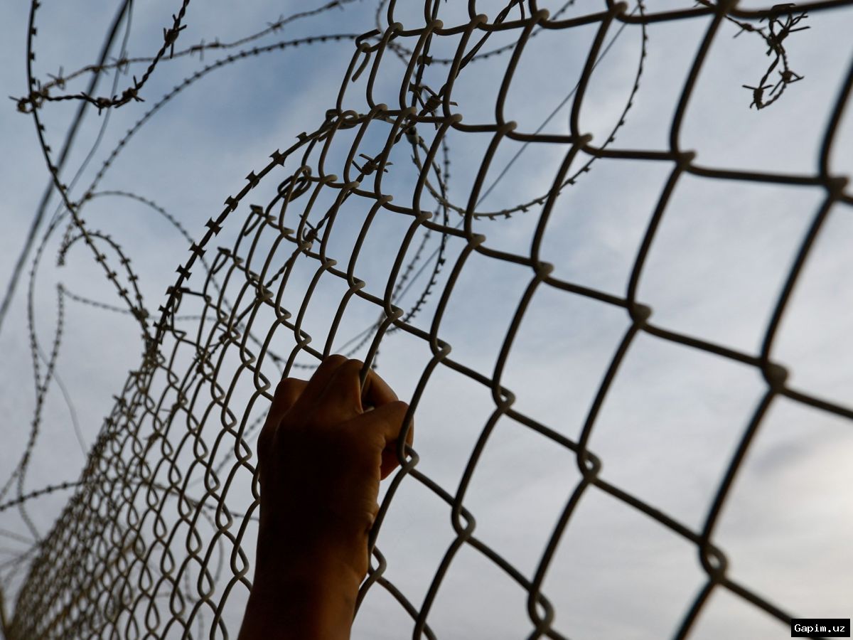 ⚖️📜 Sexual violence in Israeli detention: A colonial inheritance and ongoing brutality
