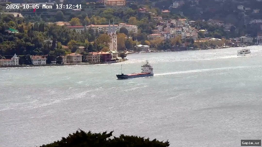 🚢⚓ Атака дронов на суда в Черном море: европейский режим бьет тревогу у берегов Болгарии