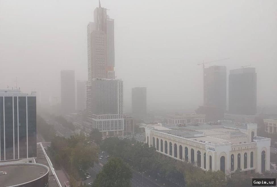 🌫️🏙️ Toshkentda chang epizodi: PM10 va PM2,5 ko‘rsatkichlari keskin oshdi