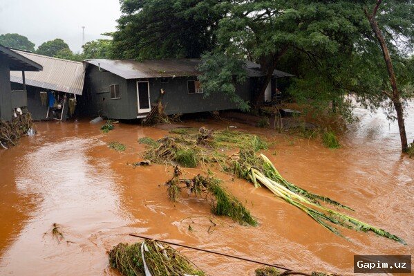 🌧️🚨 Gavayi shtatida kuchli bo‘ron va toshqin xavfi davom etmoqda