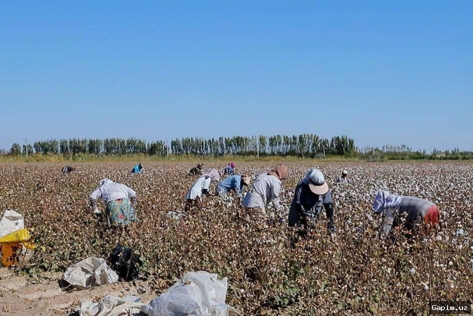 🌾🚜 В Наманганской области планируют провести эксперимент по возврату части земельного налога