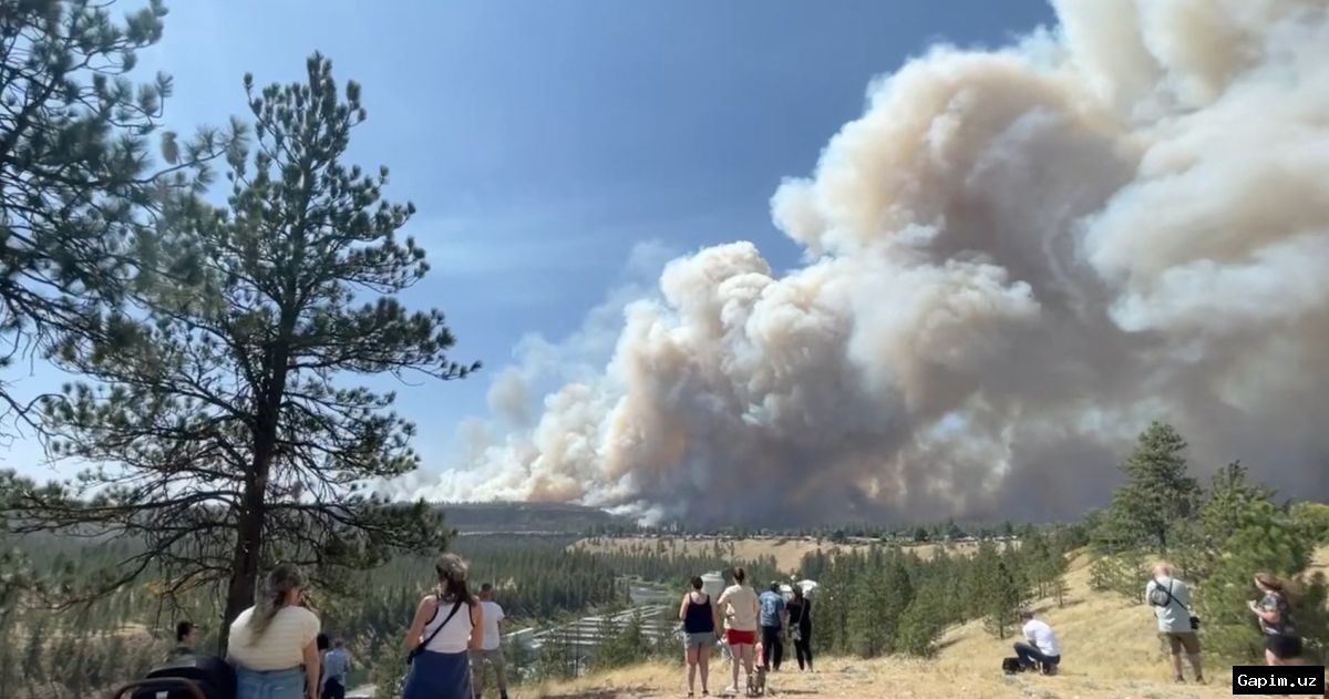 🔥🌲 Пожары в штате Вашингтон: 60 тысяч человек эвакуированы, уничтожено более 600 зданий