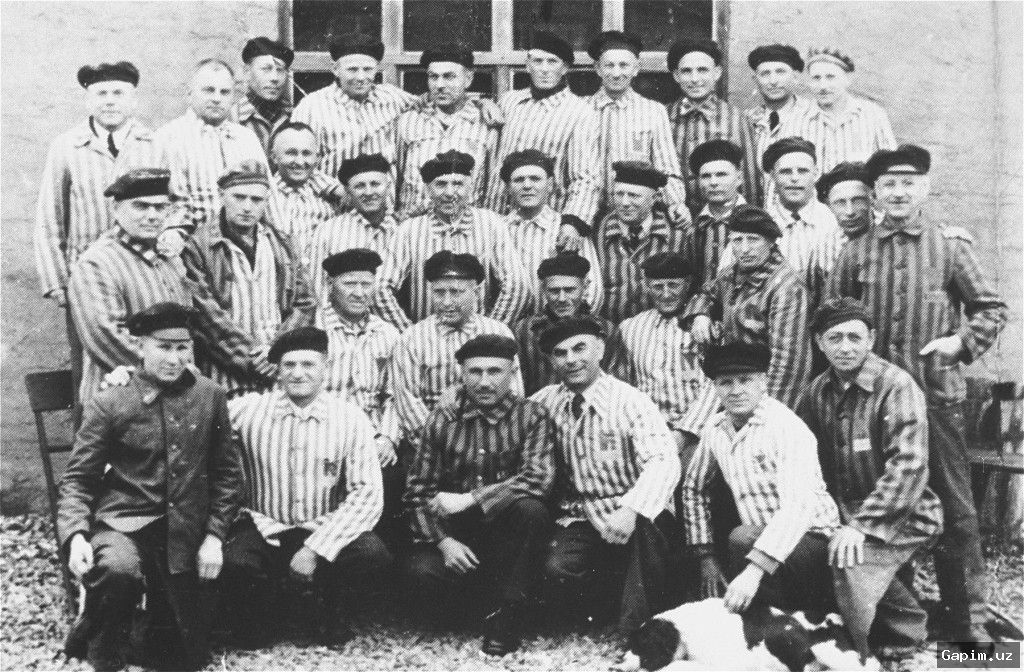 ⚖️📜 Jehovah's Witnesses win partial victory in Nazi archive dispute