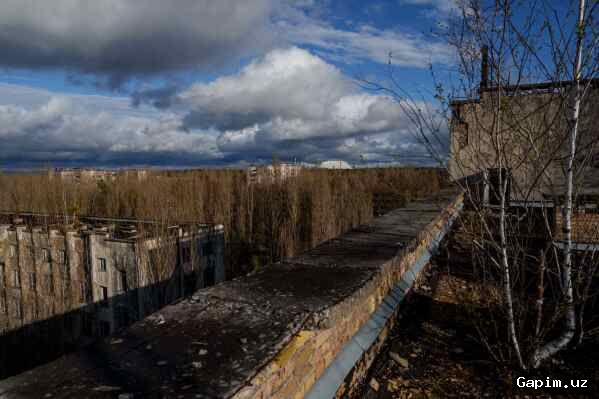 ☢️🌲 Life in the Chornobyl Exclusion Zone: 40 years on, danger and hope coexist